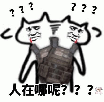 哪呢